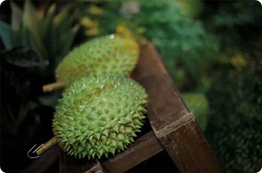 青灵国际国际业务马来西亚榴莲节